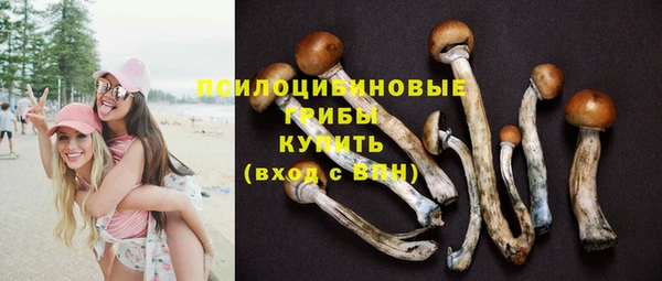 МДМА Армянск