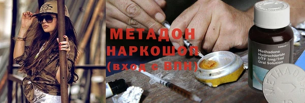 ПСИЛОЦИБИНОВЫЕ ГРИБЫ Арсеньев