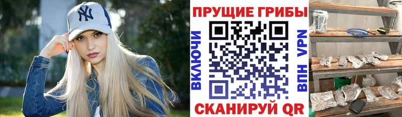 Псилоцибиновые грибы мухоморы  Адыгейск 
